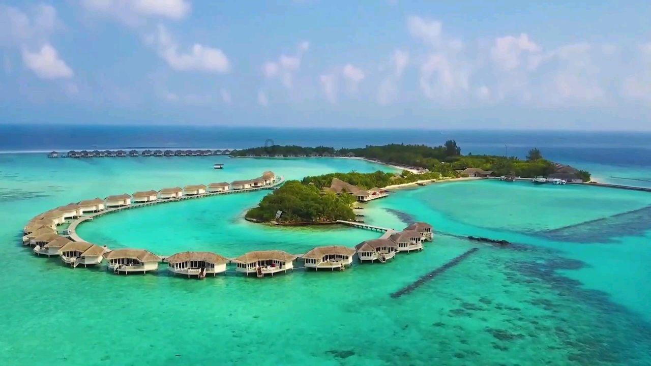 救援青龙