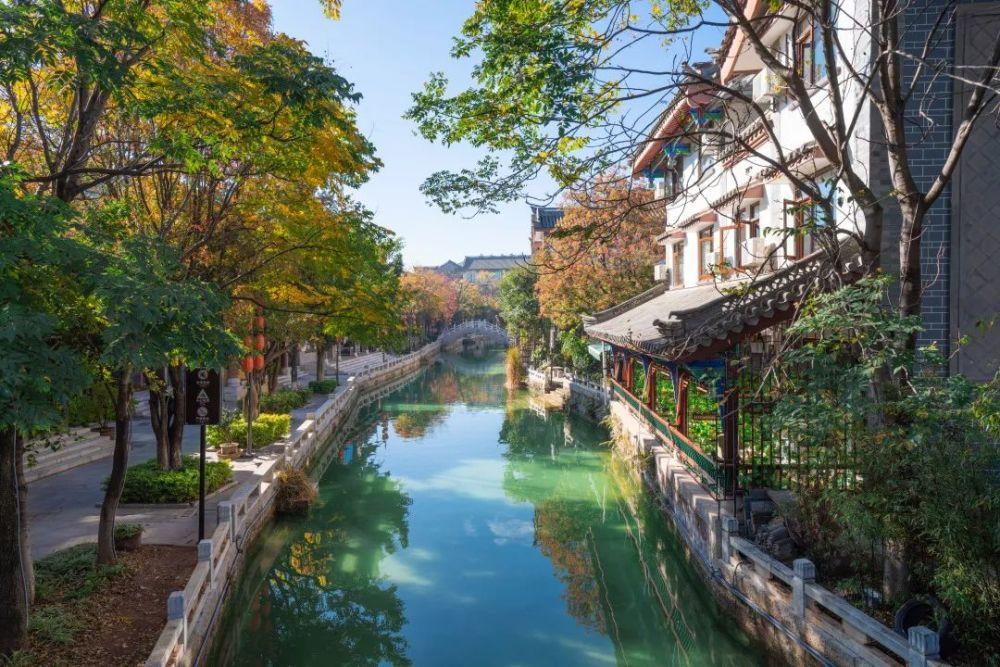 梦想的后院
